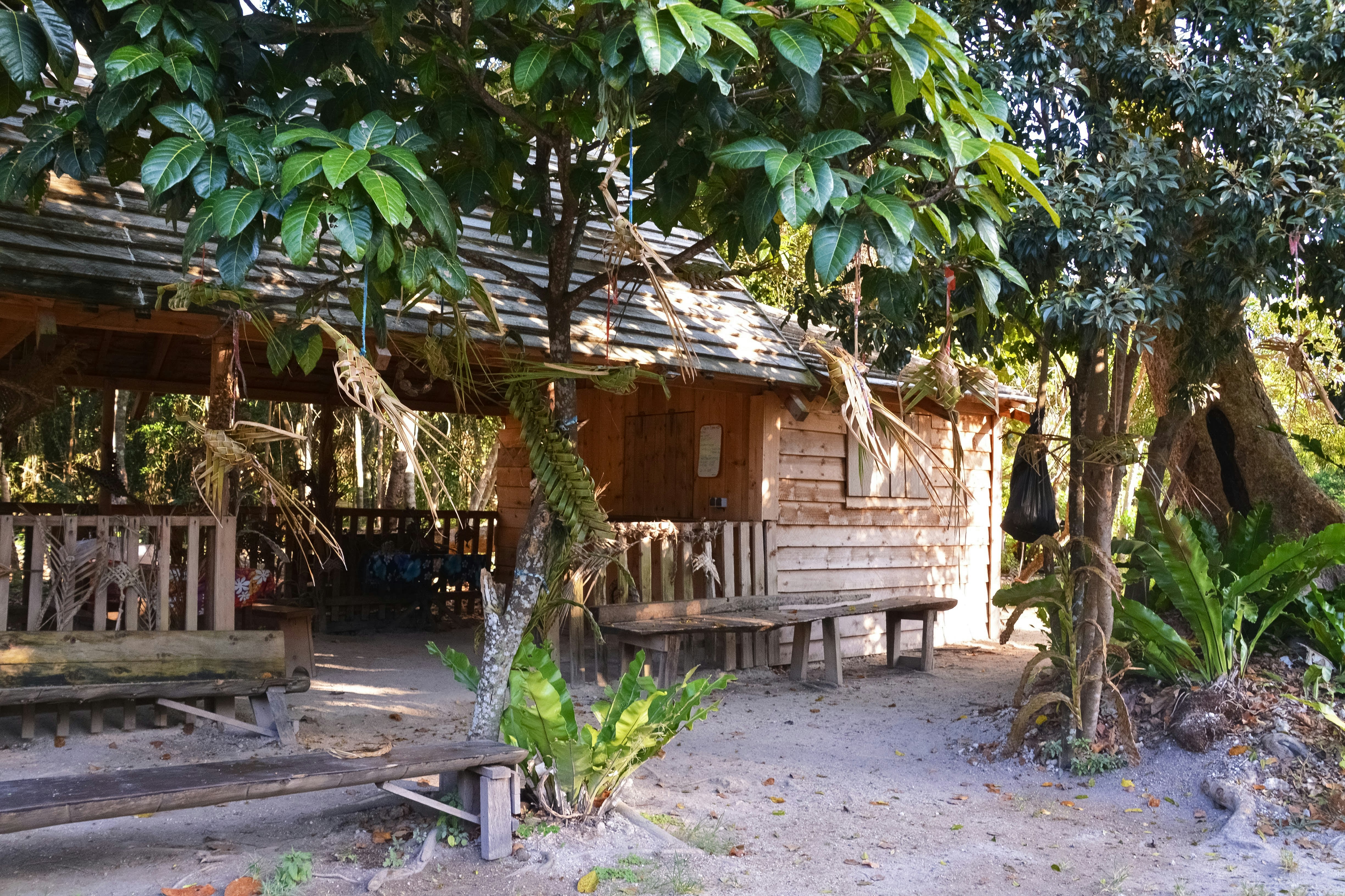 brown wooden house near green tree during daytime